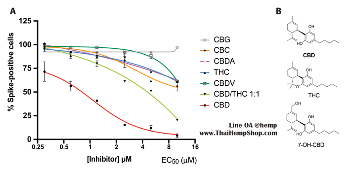 vaccine covid-19